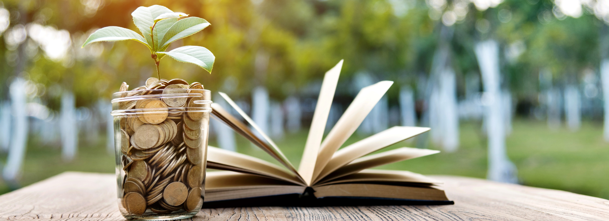 Glass jar filled with coins and a plant coming out of it, sitting next to a book that is open. They are both located on top of a brown wooden table.